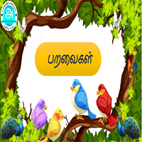 பாடங்கள்