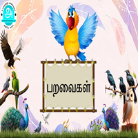 பாடங்கள்
