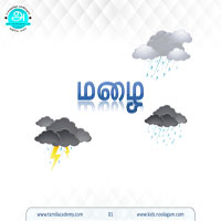 பாடங்கள்