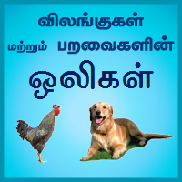 பாடங்கள்