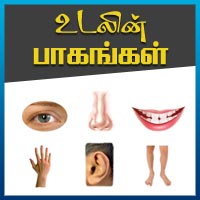 பாடங்கள்