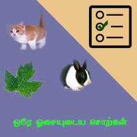 பாடங்கள்