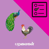 பாடங்கள்