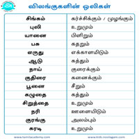 பாடங்கள்