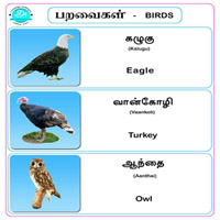 பாடங்கள்