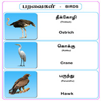 பாடங்கள்