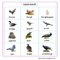 பாடங்கள்