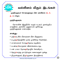 பாடங்கள்