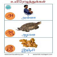 பாடங்கள்