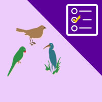 பாடங்கள்