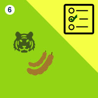 பாடங்கள்