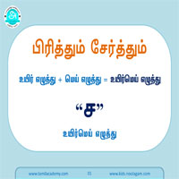 பாடங்கள்