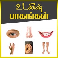 பாடங்கள்