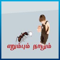 பாடங்கள்