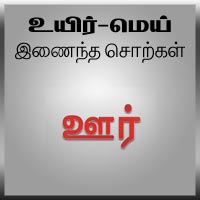 பாடங்கள்