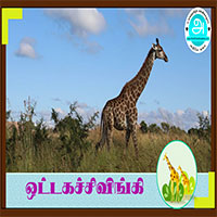 பாடங்கள்