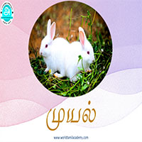 பாடங்கள்