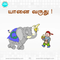 பாடங்கள்