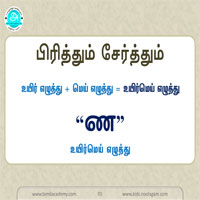 பாடங்கள்