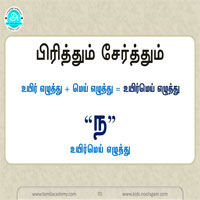 பாடங்கள்