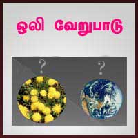 பாடங்கள்