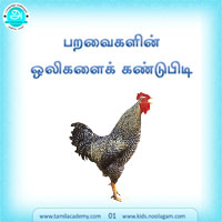 பாடங்கள்