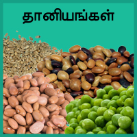 பாடங்கள்
