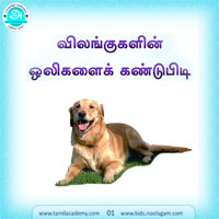 பாடங்கள்
