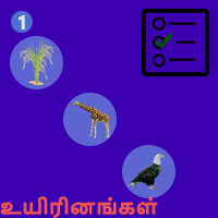 பாடங்கள்