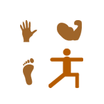 உடலின் பாகங்கள்